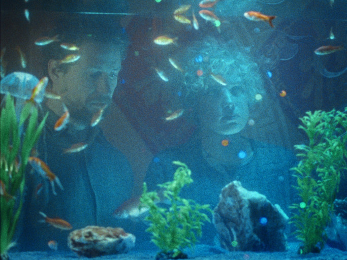 Fish like Us
