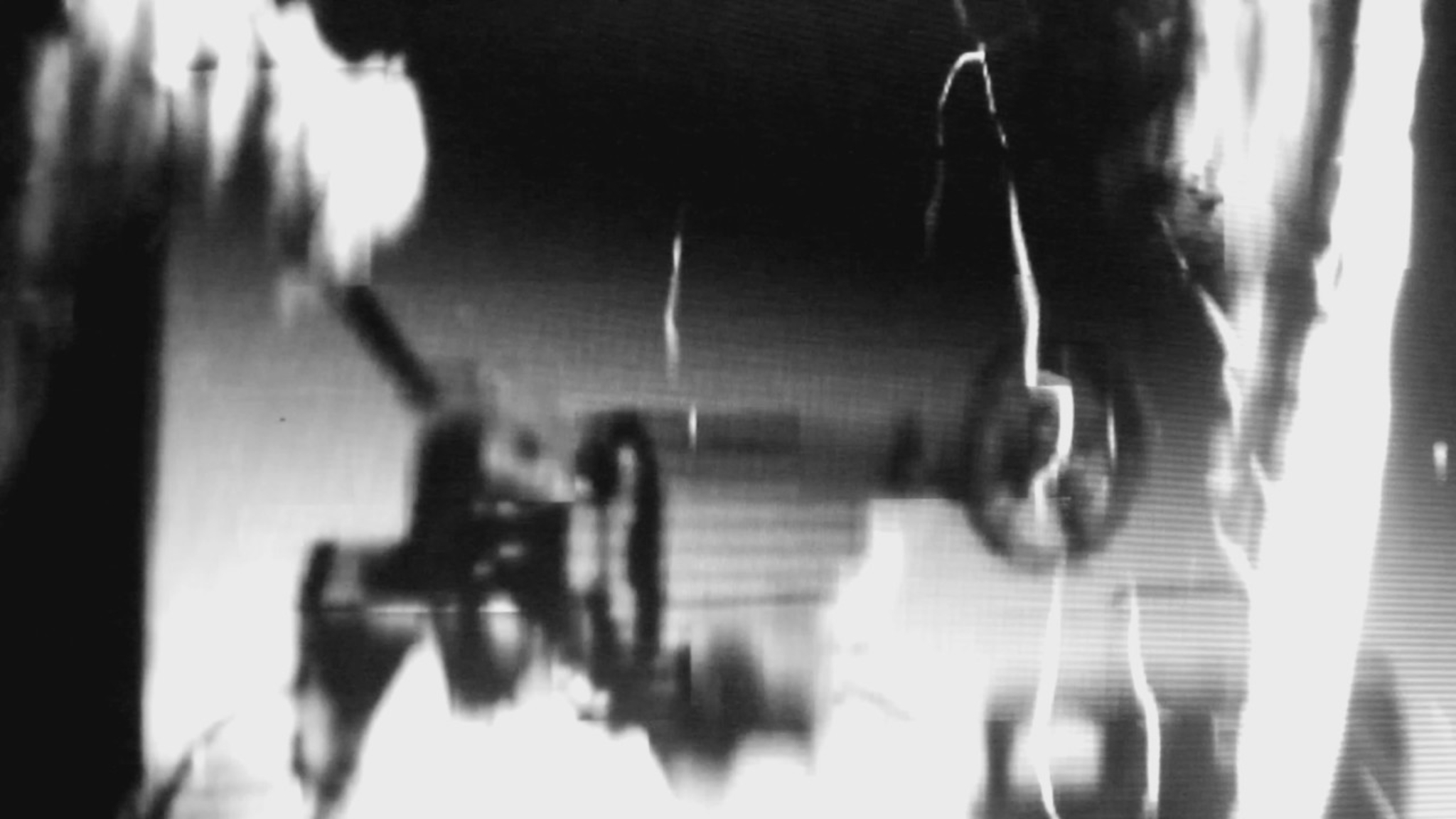 The Geneva Mechanism: A Ghost Movie