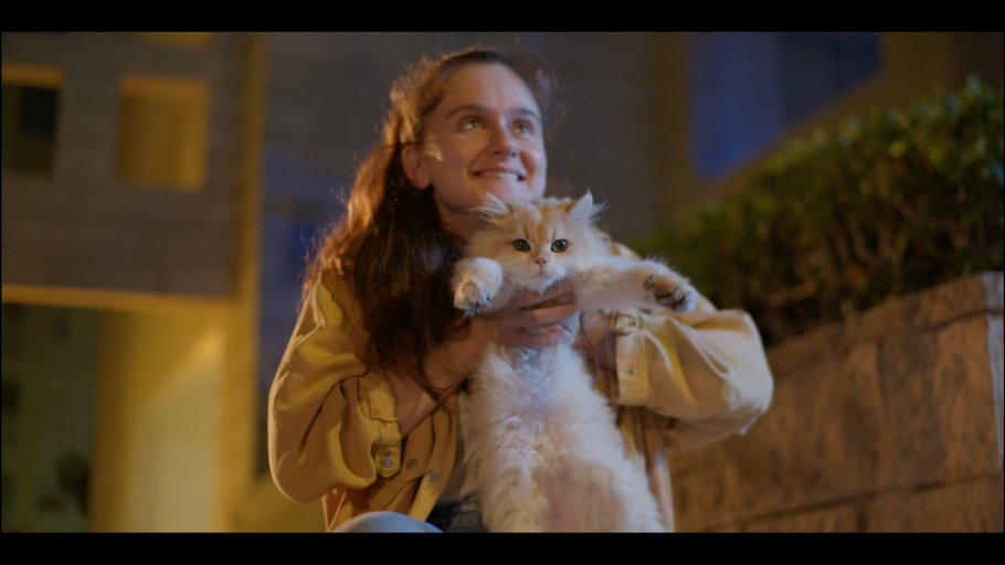 Save the Cat